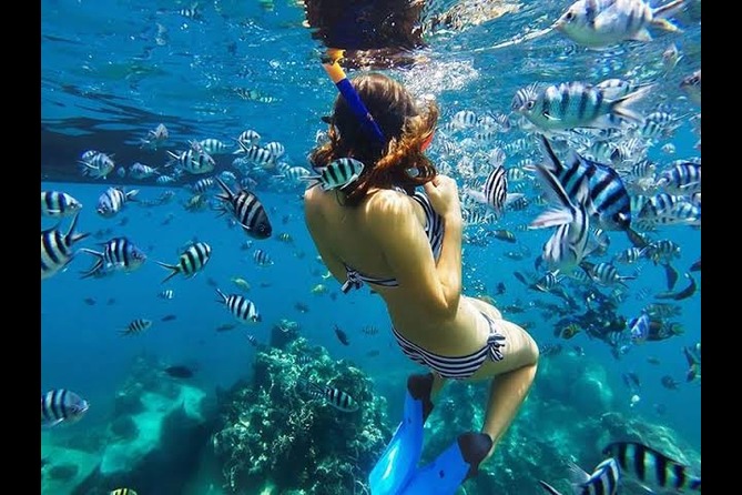 Bawe Snorkeling Tour
